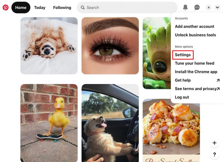 Settings main screen