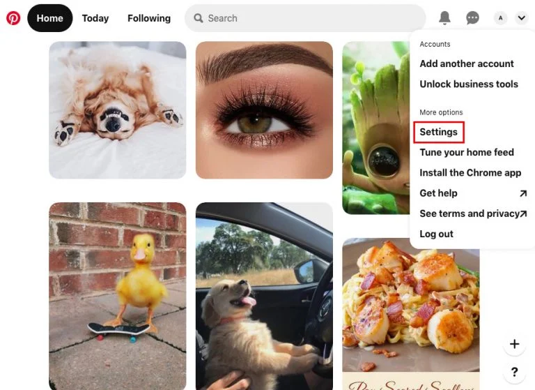 Settings main screen