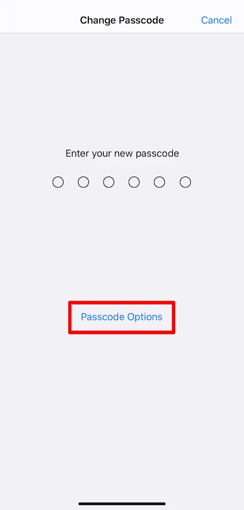 Passcode options button on iPhone