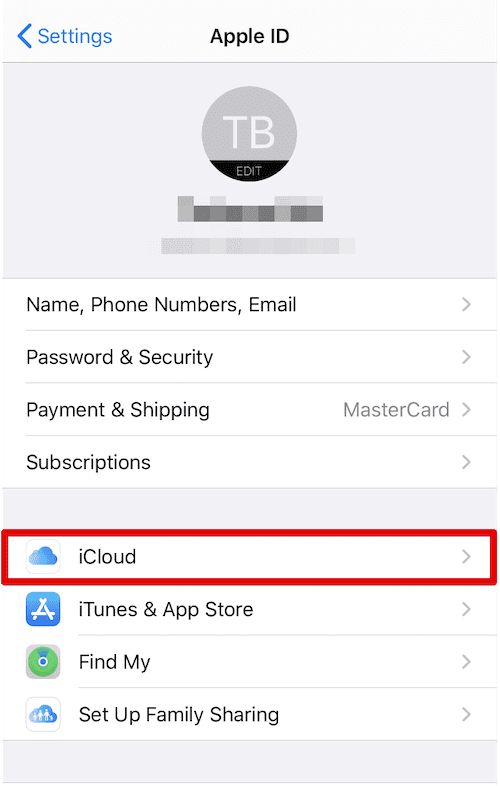 iCloud in iPhone settings