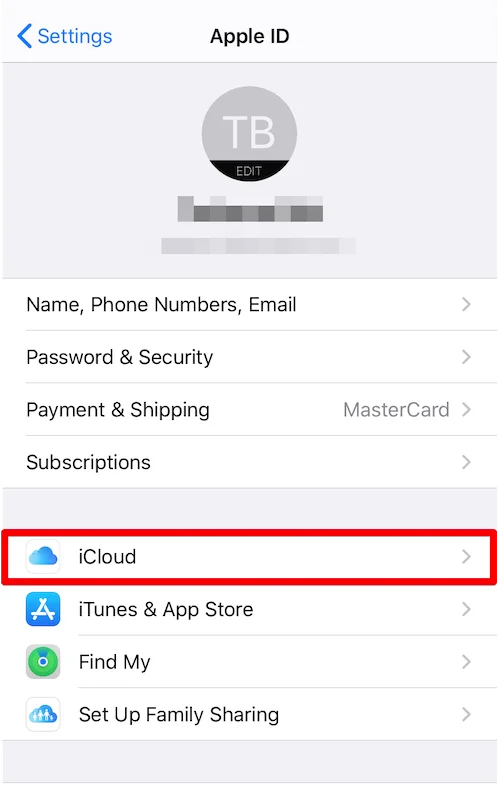 iCloud in iPhone settings